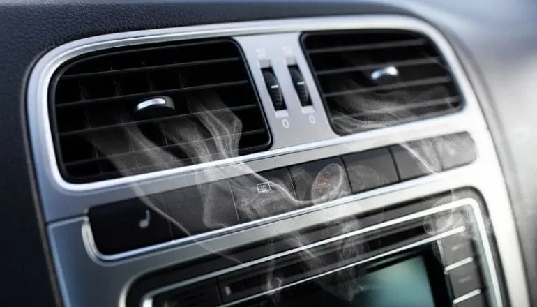 Fuel Like Odor From Car