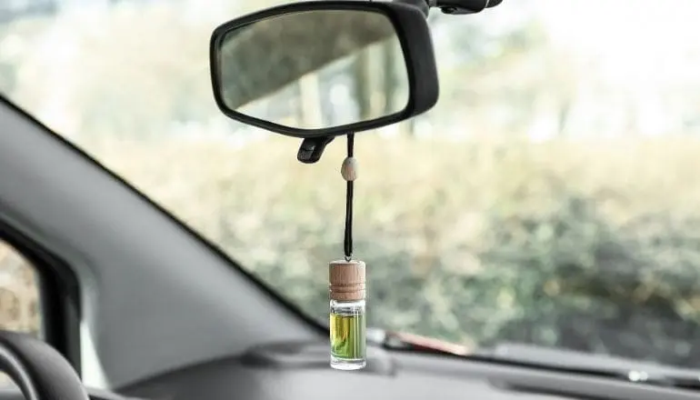 Car Natural Air Freshner